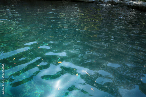 Dzibilchaltun, Mexico, :Cenote Xlacah situated in Dzibilchaltun zona archeologica area in Mexico photo