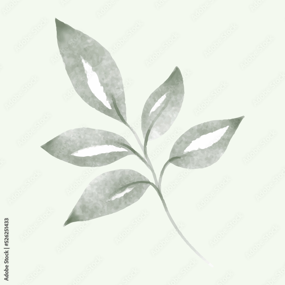 Olive branch hand drawn isolated on background Olive branch hand drawn isolated on background