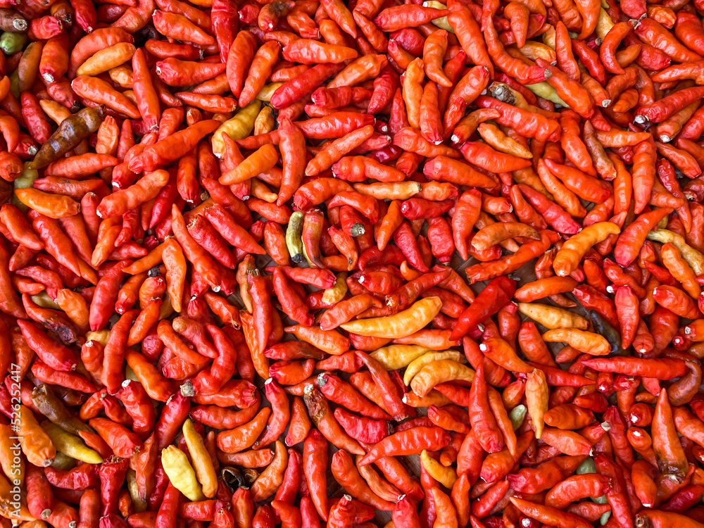 red hot chili peppers backdrop. red hot chili peppers backdrop.