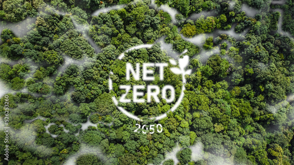 Net Zero 2050 Carbon Neutral and Net Zero Concept natural environment A climate-neutral long-term strategy greenhouse gas emissions targets A cloud of mist in the green Net Zero figure. - obrazy, fototapety, plakaty 