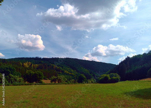 Das dicht bewaldete Ourtal in der Südeifel im Landkreis Eifelkreis Bitburg-Prüm nähe Ouren (LUX) und Sevenig (GER). photo