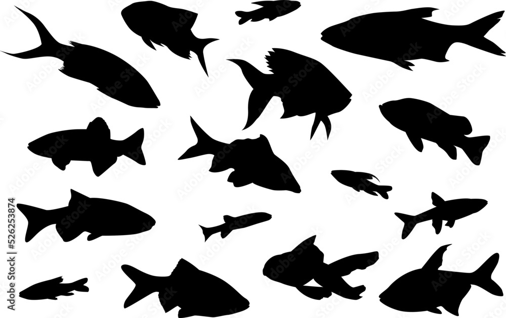 Fototapeta premium Vector set of fish silhouettes