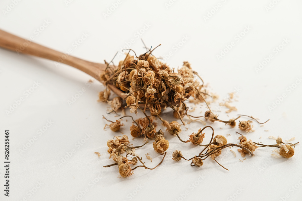 Dried chamomile flowers on wooden spoon on white background. Space for text
Dried chamomile flowers on wooden spoon on white background. Space for text