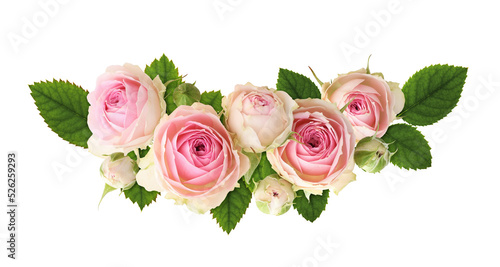 Small pink rose flowers and green leaves in a floral arrangement isolated