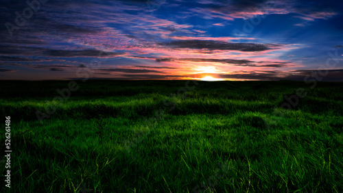 Beautiful sunrise over meadow.