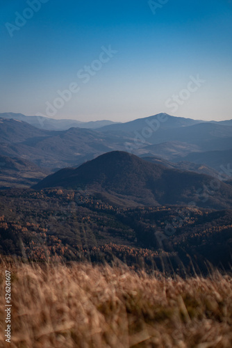 Fototapeta Naklejka Na Ścianę i Meble -  bieszczady mountains