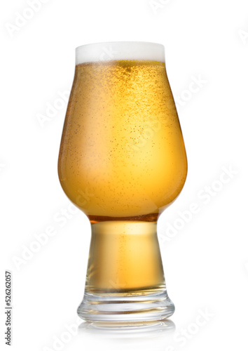 Obraz na plátně Glass of lager ipa craft preium beer with foam on white background
