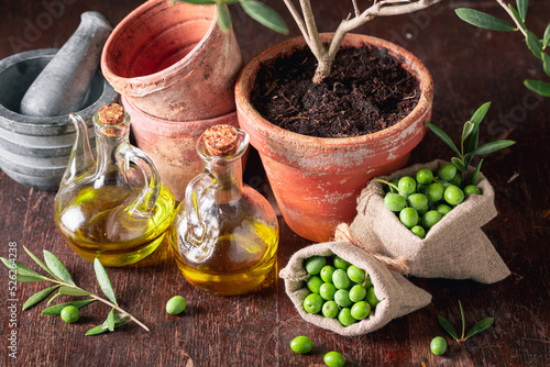 Fresh raw olives as the main ingredient of olive oil.