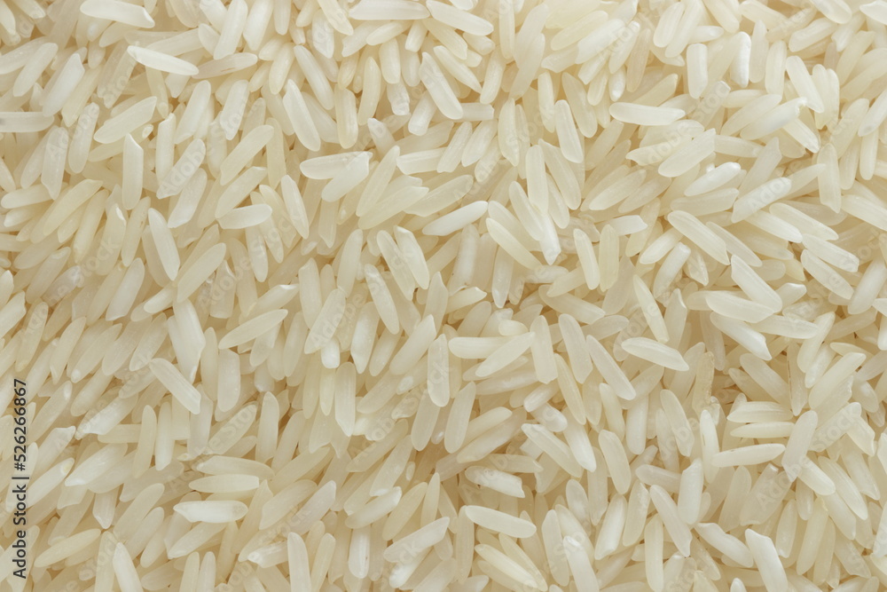 Thai rice, long rice, jasmine rice for cooking ingredient Thai rice, long rice, jasmine rice for cooking ingredient