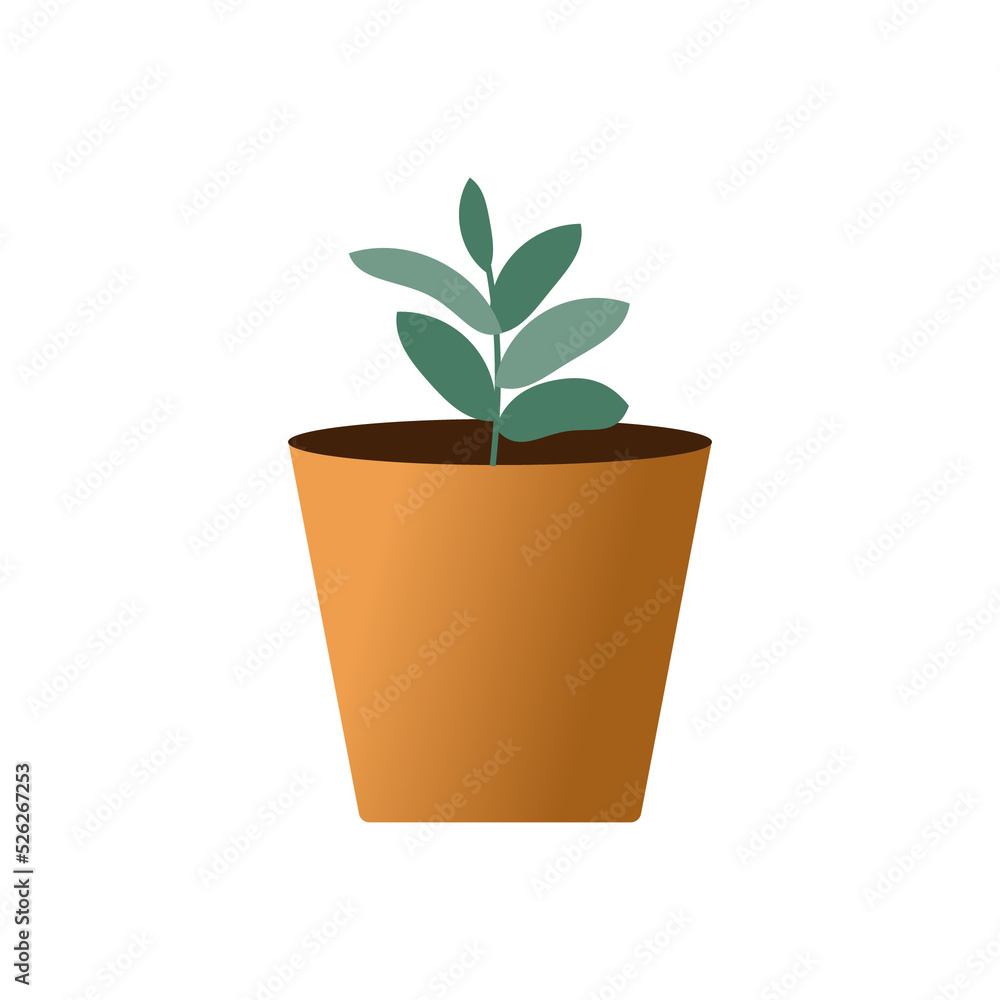vector plant tree for decorate, growing plant tree, nature leave, green plant in door vector plant tree for decorate, growing plant tree, nature leave, green plant in door