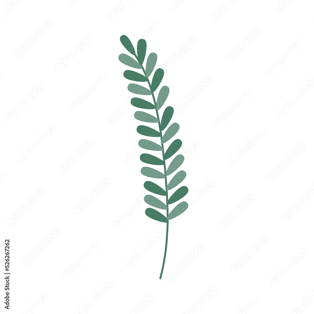 vector plant tree for decorate, growing plant tree, nature leave, green plant in door vector plant tree for decorate, growing plant tree, nature leave, green plant in door
