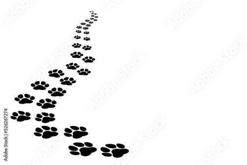 Dog paw trail receding on white background