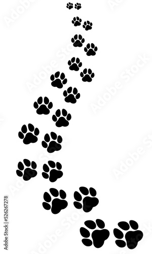 Path of dog footprints silhouettes vertically 