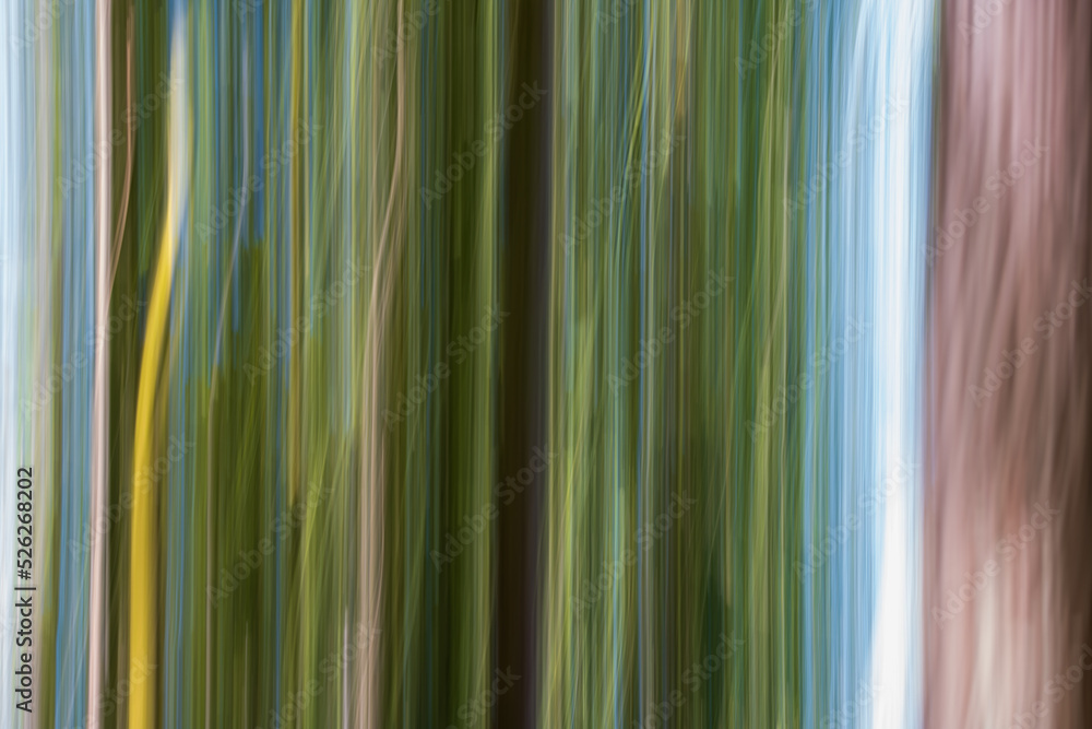 Obraz premium Defocused colorful image with texture and movement due to Intentional Camera Movement, ICM. Artistic abstract moody image with motion blur of trees in a forest. Lousã, Coimbra, Portugal