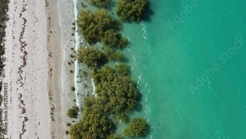 Aerial landscape view of sea mangroves in Cape Leeuwin in the  Kimberley region Western Australia.  photo