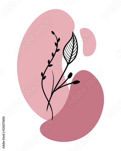 abstraction nature branch flowers background