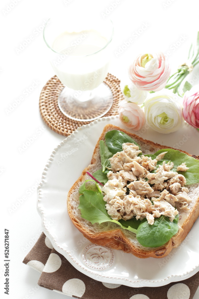 Tuna and mayonnaise with baby spinach open sandwich for nutrition breakfast Tuna and mayonnaise with baby spinach open sandwich for nutrition breakfast