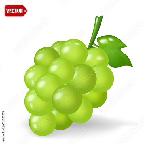 Green grape 3d vector isolated on white background, minimal style. vector illustration.