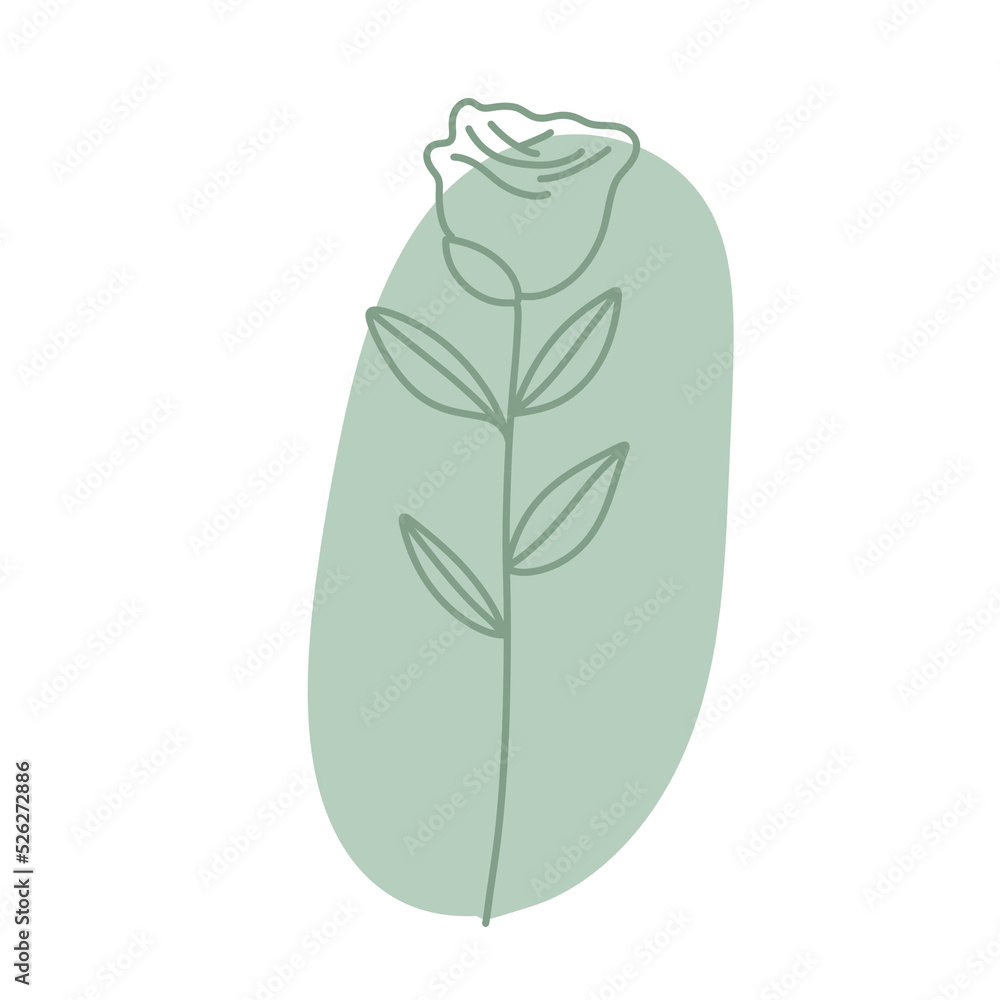 Boho Flower Illustration Boho Flower Illustration