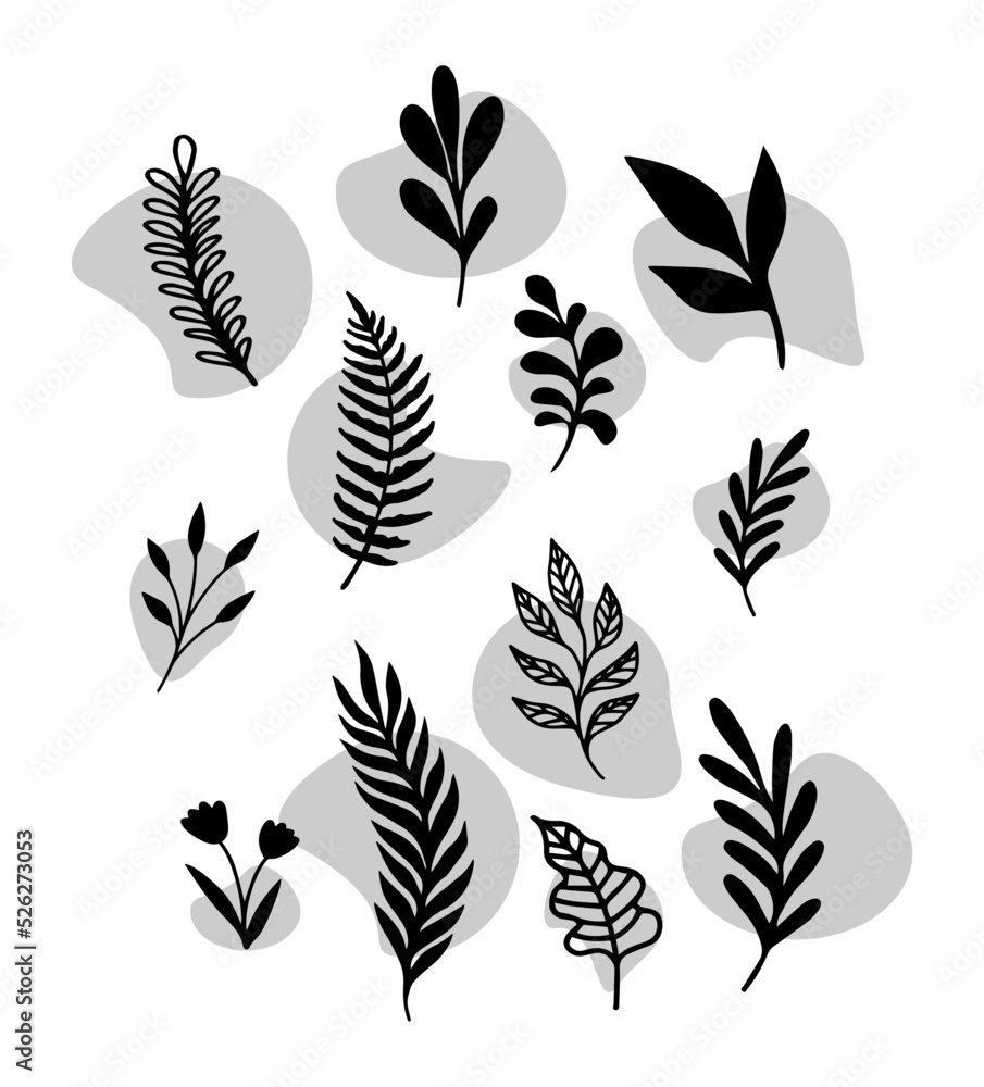 Mid Century Modern Contemporary Botanical Art Poster Wall Art. Modern Abstract Leaves Foliage Organic Shapes. Vector Design For Social Media Print Cover Wallpaper. Black And White Leaves Organic Shape