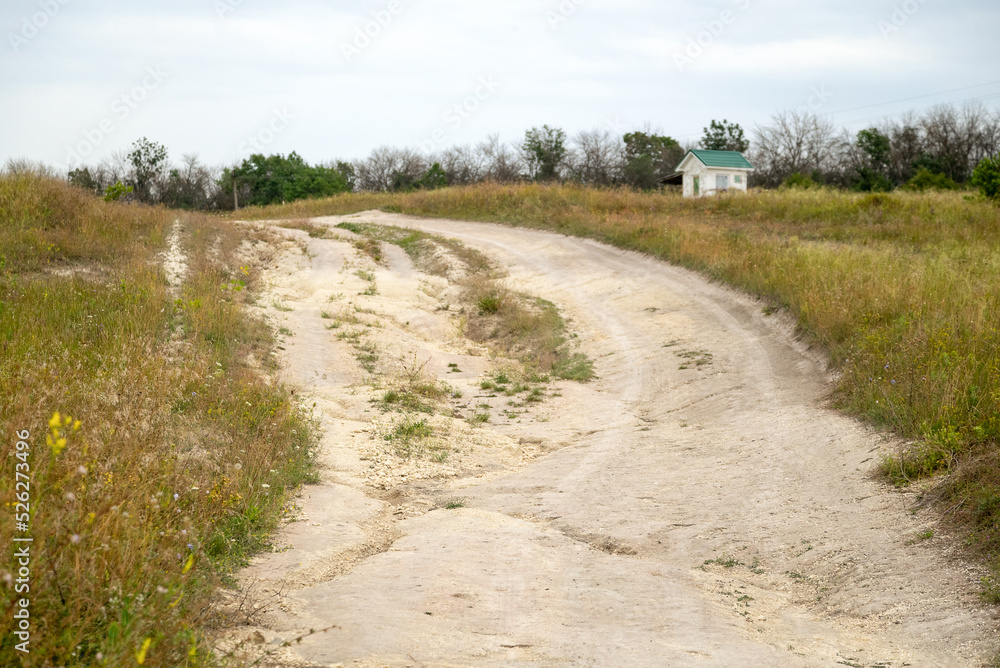 bumpy dirt road through field bumpy dirt road through field