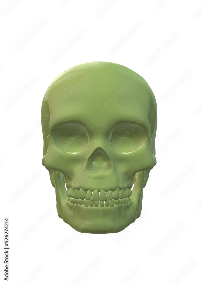 Obraz premium human skull isolated on white