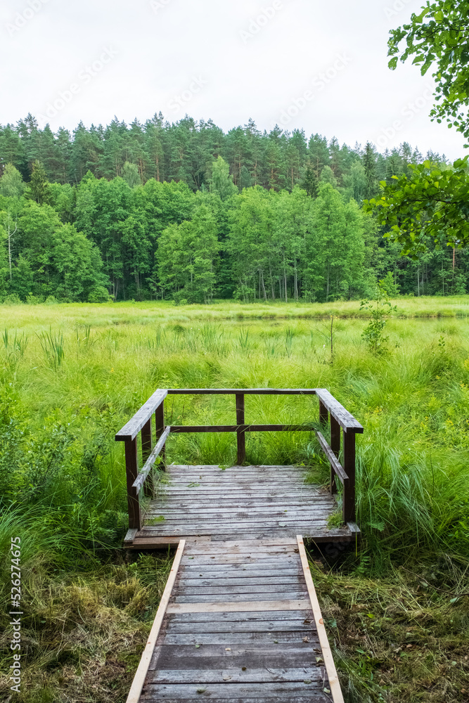 Botanischer Naturlehrpfad bei Paluse im Bezirk Ignalina Litauen Lietuva Botanischer Naturlehrpfad bei Paluse im Bezirk Ignalina Litauen Lietuva