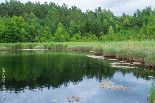Botanischer Naturlehrpfad bei Paluse im Bezirk Ignalina Litauen Lietuva