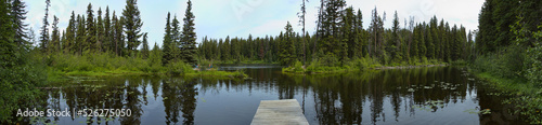 Fototapeta Naklejka Na Ścianę i Meble -  View of Berman Lake in Berman Lake Regional Park in British Columbia,Canada,North America
