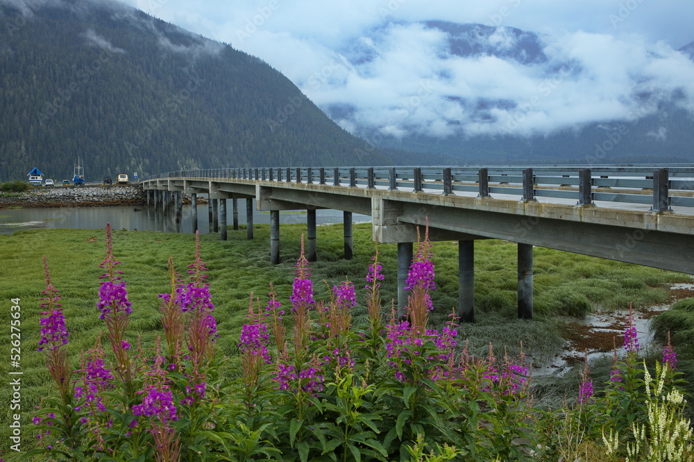 Road bridge in Hyder in Alaska,USA,North America
