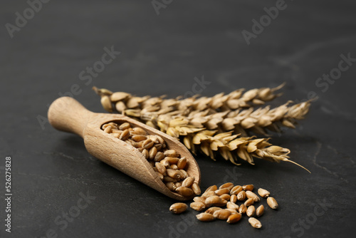 Ears of wheat and grains on black table