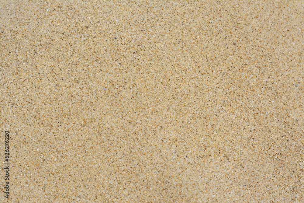 Texture of sandy beach as background, closeup Texture of sandy beach as background, closeup