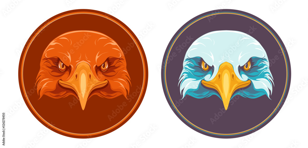 Vector illustration of an eagle and kite head. Logo with fullface predator bird.