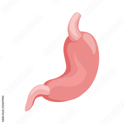 Stomach Isometric Illustration