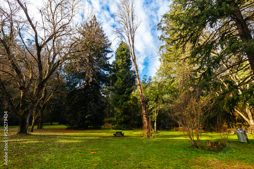 Fernshaw Picnic Ground in Victoria Australia photo