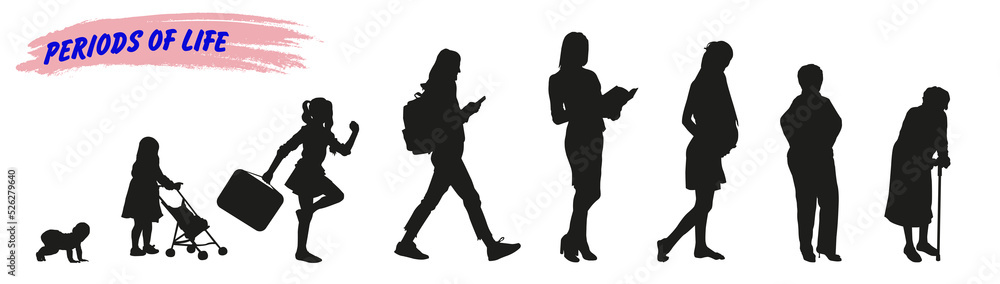 Female life cycle silhouette. Vector graphics.