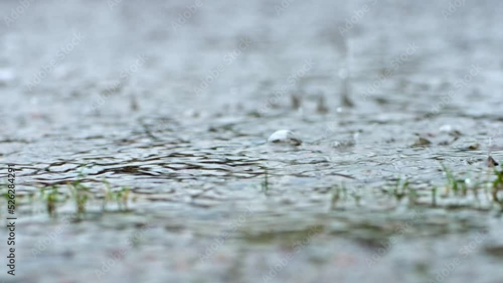 Rain splashes hit the asphalt, heavy rain, close-up. Slow motion. Rain splashes hit the asphalt, heavy rain, close-up. Slow motion.