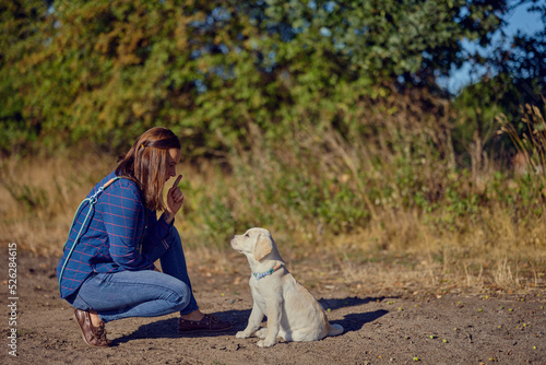 Happy brunette middle-aged woman training with her little Labrador retriever puppy in the gold sunlight, with copy space above photo