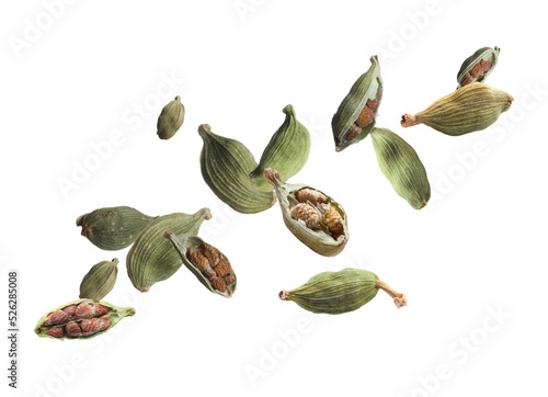 Dry green cardamom pods with seeds falling on white background