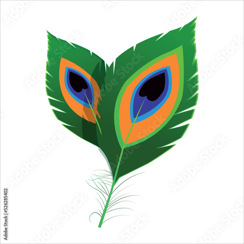 Krishna Green peacock feather Vector