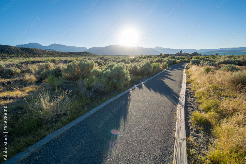 Obraz premium path near mono lake