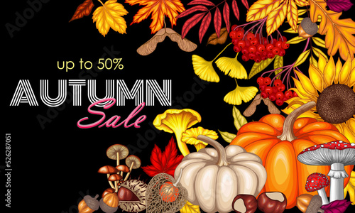 Vector illustration of autumn banner template. Maple leaf, chestnut, mountain ash, fallen leaves, fly agaric, chanterelles, acorns, physalis, maple seeds, sunflower, pumpkin, ginkgo, mushrooms