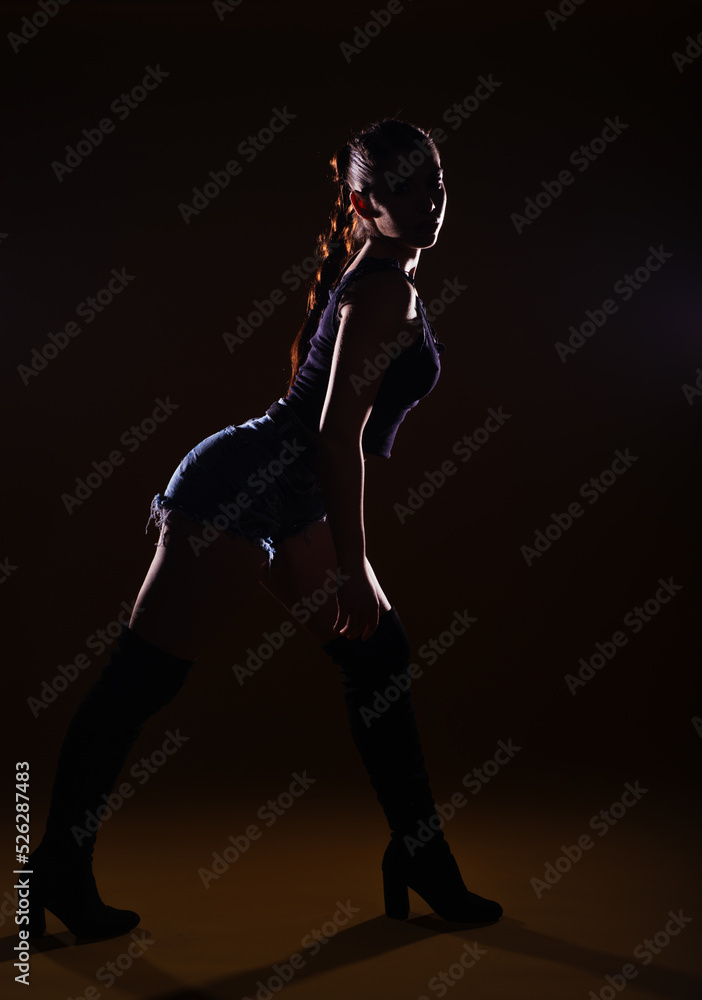 Fototapeta premium High-contrast silhouette picture of a sexy female model posing on a dark background