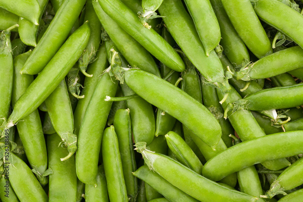 peas background pattern closeup detail peas background pattern closeup detail