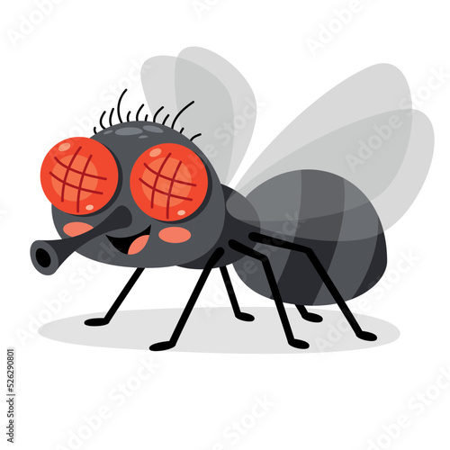 Illustration Of A Fly Insect