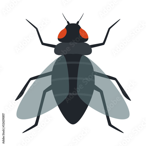 Illustration Of A Fly Insect