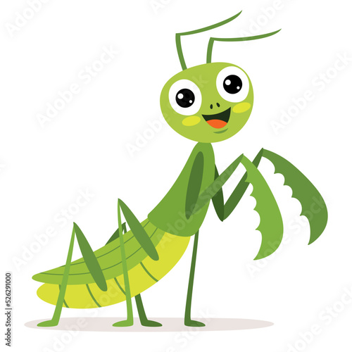 Cartoon Drawng Of A Praying Mantis photo