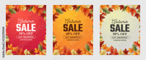 Tela Autumn 2022 Sale Background, set of abstract backgrounds with leave frame, autum