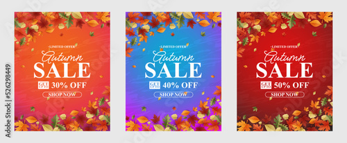 Autumn Sale Background, set of abstract backgrounds with leave frame, autumn sale, banner, posters, cover design templates, social media wallpaper stories