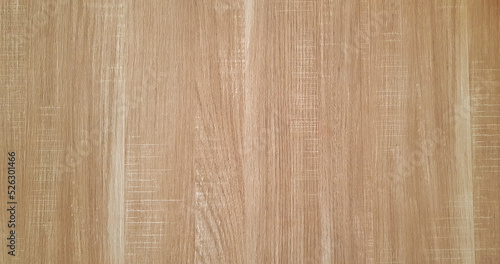 Brown wooden background in black and white tone or monochrome picture. Wood panel wall or wallpaper.